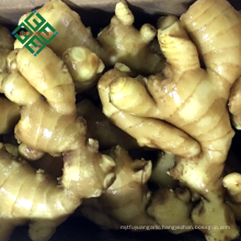 market prices for ginger / chinese air dried ginger